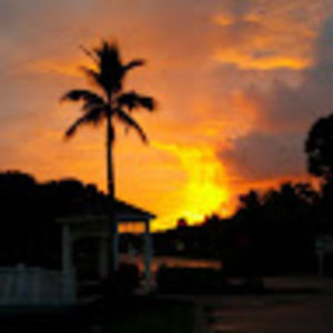 Meet your Posher, Hunter